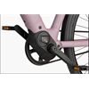 Riese&Müller Culture Mixte Vario 50cm Sonder