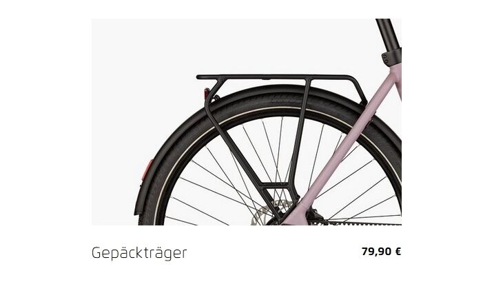 Riese&Müller Culture Mixte Vario 50cm Sonder
