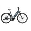 Riese&Müller Culture Mixte Vario 50cm SW 400WH Sonder