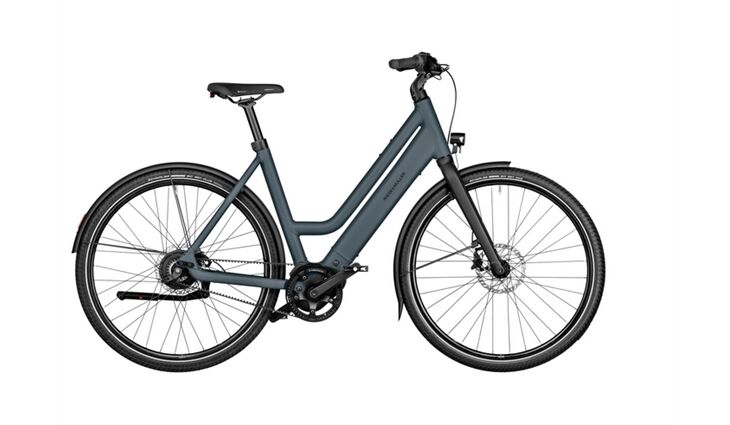 Riese&Müller Culture Mixte Vario 50cm SW 400WH Sonder