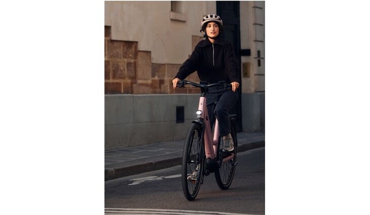 Riese&Müller Culture Mixte Vario 50cm SW 400WH Sonder