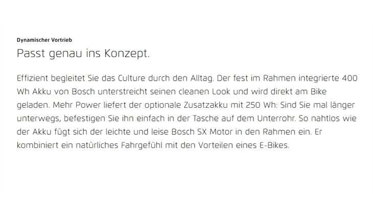 Riese&Müller Culture Mixte Vario 50cm SW 400WH Sonder