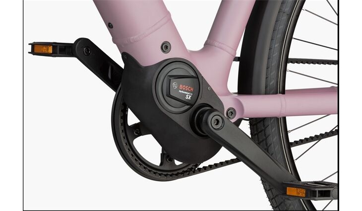 Riese&Müller Culture Mixte Vario 50cm SW 400WH Sonder