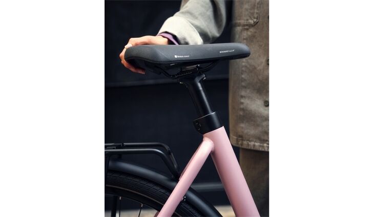 Riese&Müller Culture Mixte Vario 50cm SW 400WH Sonder