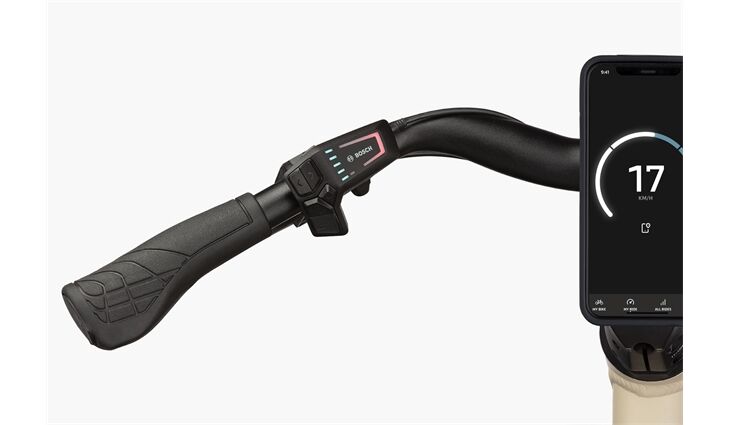 Riese&Müller Culture Mixte Vario 50cm SW 400WH Sonder