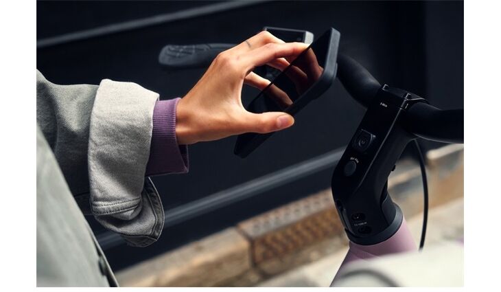 Riese&Müller Culture Mixte Vario 50cm SW 400WH Sonder