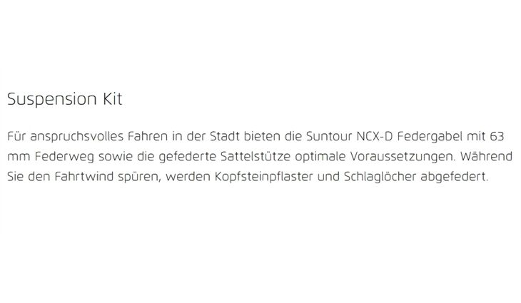 Riese&Müller Culture Mixte Vario 50cm SW 400WH Sonder