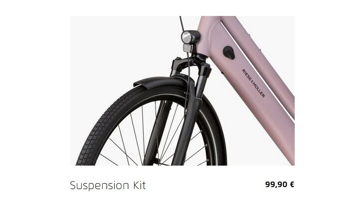 Riese&Müller Culture Mixte Vario 50cm SW 400WH Sonder