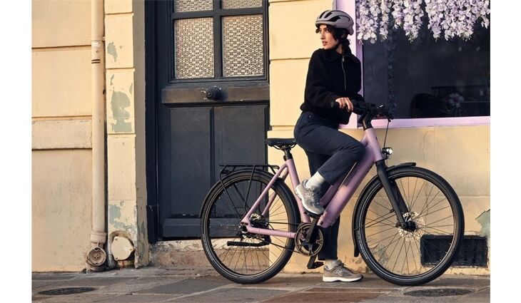 Riese&Müller Culture Mixte Vario 50cm SW 400WH Sonder