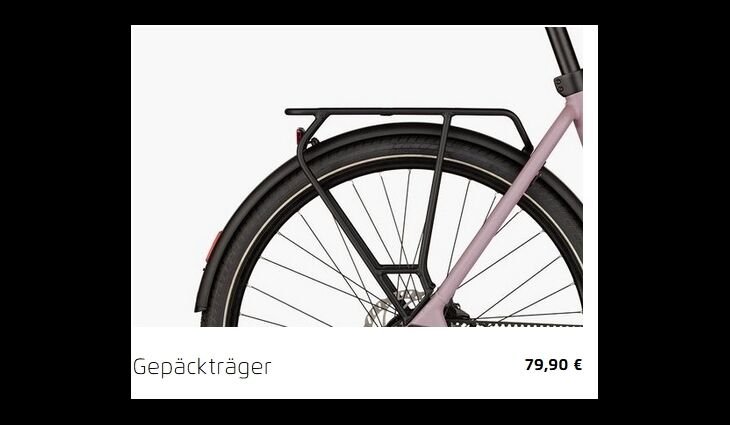 RieseundMüller Culture Mixte Vario 50cm SW 400WH Sonder