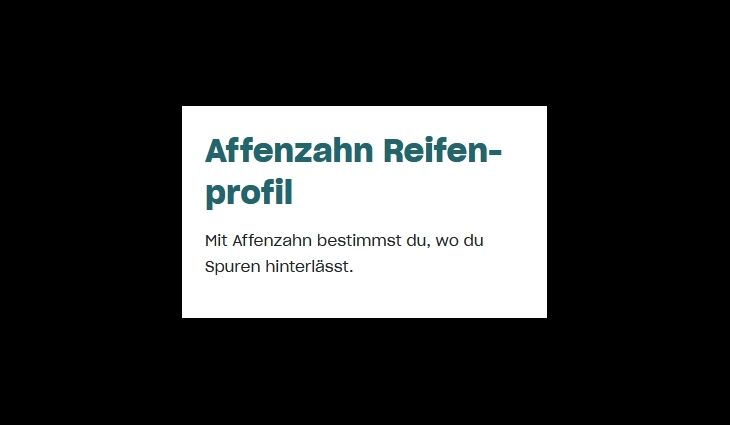 Affenzahn Kinderrad 16 Zoll Panther ab 4 Jahrre 105+115cm