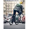 Riese&Müller UBN Five Vario 57cm 21kg