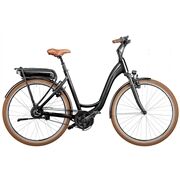 Riese&Müller Swing Vario 43 cm 26 Zoll Test