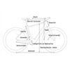 CUBE Bikes Editor Hybrid SLT 400 SX 62 cm 2025