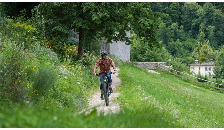 CUBE Bikes Reaction Hybrid Pro Smart625 XL Allroad L 2024