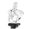 SQlab Sattel 602-16 M-D active 2.1 50kg mittlere Strecke
