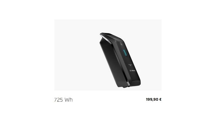 Riese&Müller Carrie Vario PLine75NM 545 WH Sonder Test