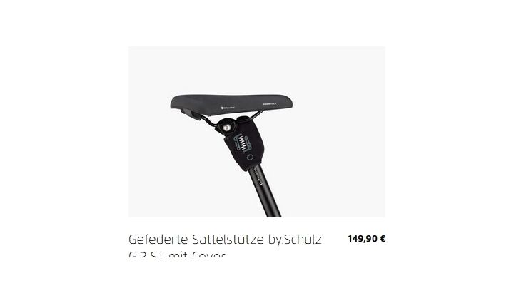 Riese&Müller Carrie Vario PLine75NM 545 WH Sonder Test