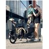 Riese&Müller Carrie Vario PLine75NM 545 WH