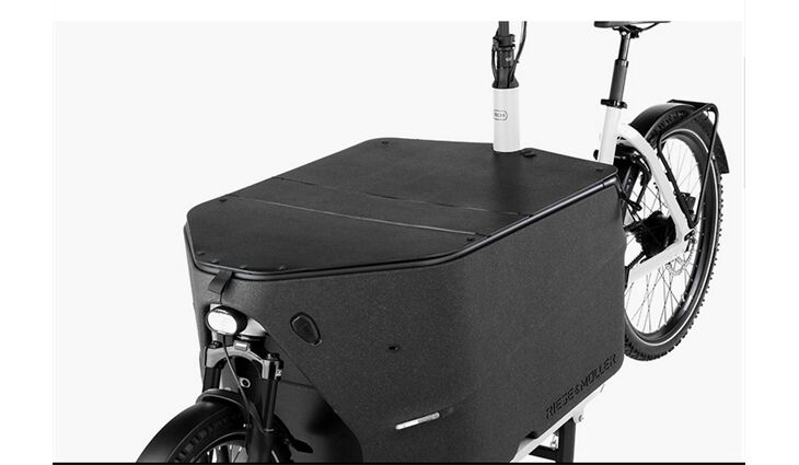 Riese&Müller Elektro Packster 70 Vario Sonder