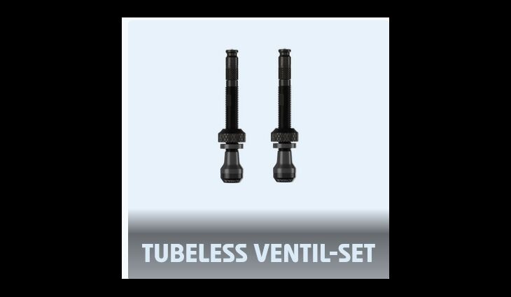 Schwalbe Ventilset SV 2xSCV SV 3541 ClikValve Pumpenkopf