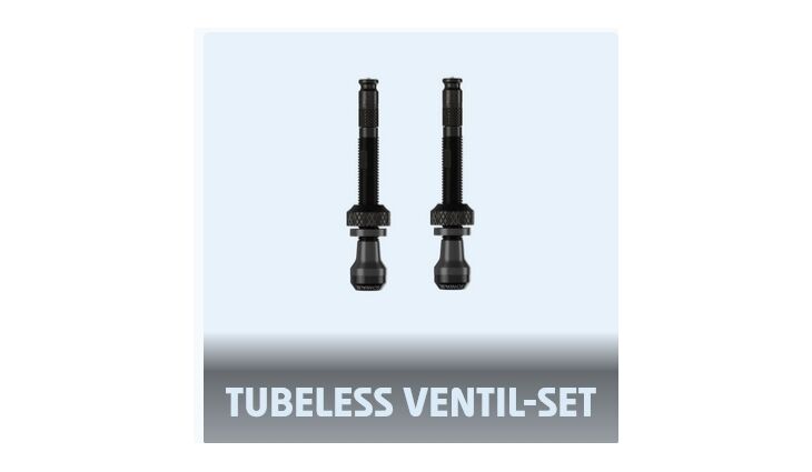 Schwalbe Ventilset SV 2xSCV SV 3541 ClikValve Pumpenkopf