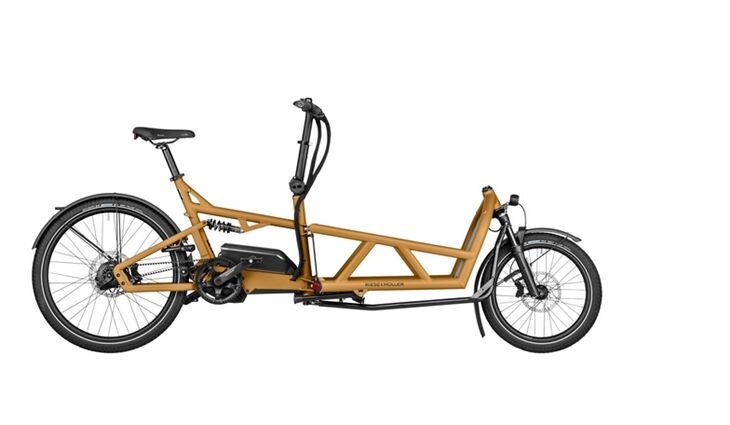 Riese&Müller Load4 60 Rohloff Cargo smart 85NM 725WH Uni Grund
