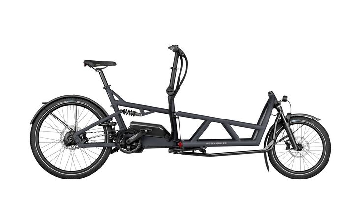 Riese&Müller Load4 60 Rohloff Cargo smart 85NM 725WH Uni Grund