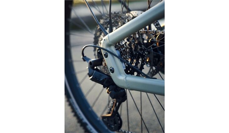 Riese&Müller Load4 60 Rohloff Cargo smart 85NM 725WH Uni Grund