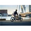 Riese&Müller Load4 60 Rohloff Cargo smart 85NM 725WH Uni Grund