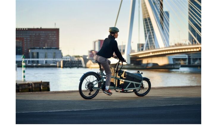 Riese&Müller Load4 60 Rohloff Cargo smart 85NM 725WH Uni Grund