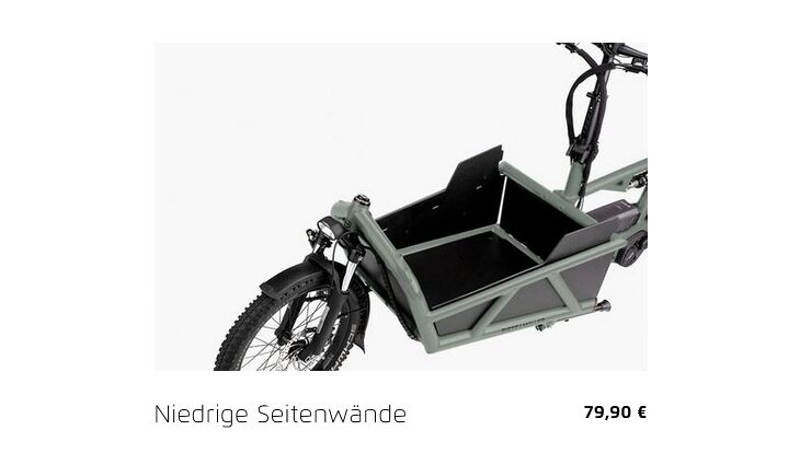 Riese&Müller Load4 60 Rohloff Cargo smart 85NM 725WH Uni Grund