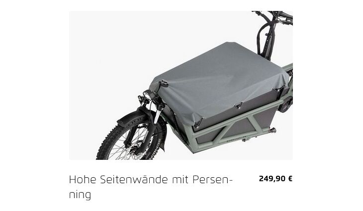 Riese&Müller Load4 60 Rohloff Cargo smart 85NM 725WH Uni Grund
