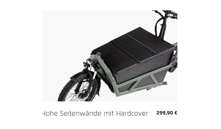 Riese&Müller Load4 60 Rohloff Cargo smart 85NM 725WH Uni Grund
