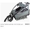 Riese&Müller Load4 60 Rohloff Cargo smart 85NM 725WH Uni Grund