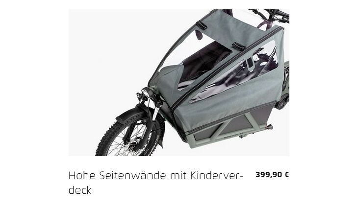 Riese&Müller Load4 60 Rohloff Cargo smart 85NM 725WH Uni Grund