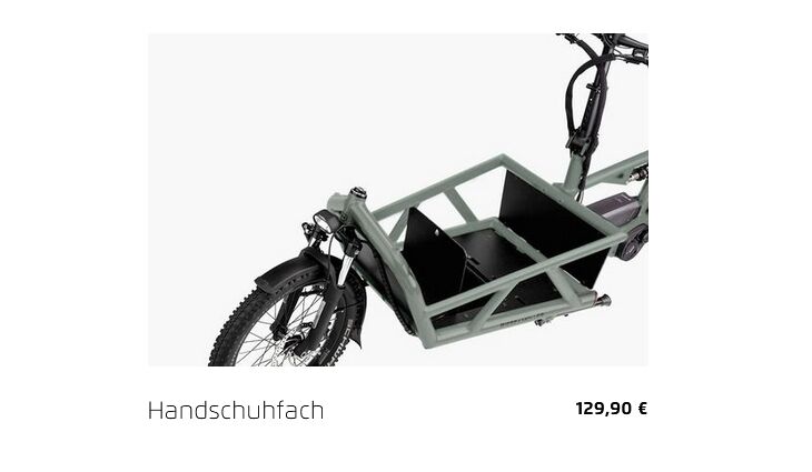 Riese&Müller Load4 60 Rohloff Cargo smart 85NM 725WH Uni Grund