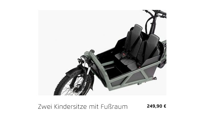 Riese&Müller Load4 60 Rohloff Cargo smart 85NM 725WH Uni Grund