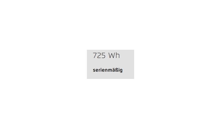 Riese&Müller Load4 60 Rohloff Cargo smart 85NM 725WH Uni Grund