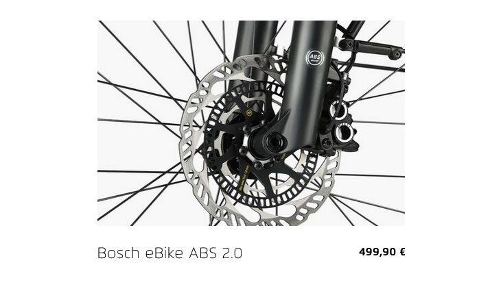 Riese&Müller Load4 60 Rohloff Cargo smart 85NM 725WH Uni Grund