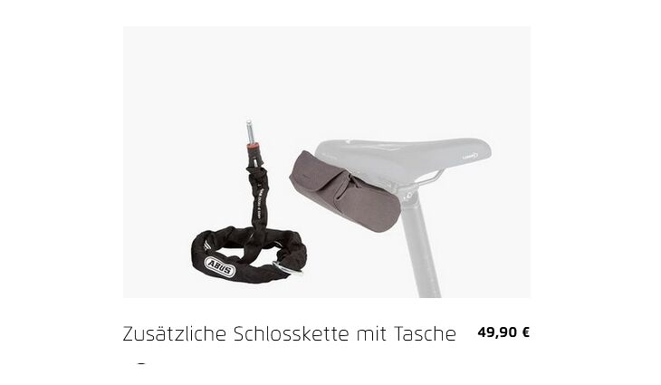 Riese&Müller Load4 60 Rohloff Cargo smart 85NM 725WH Uni Grund