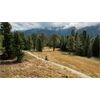 CUBE Bikes Stereo Hybrid ONE22 Pro Allroad L CX800 2025 KW07